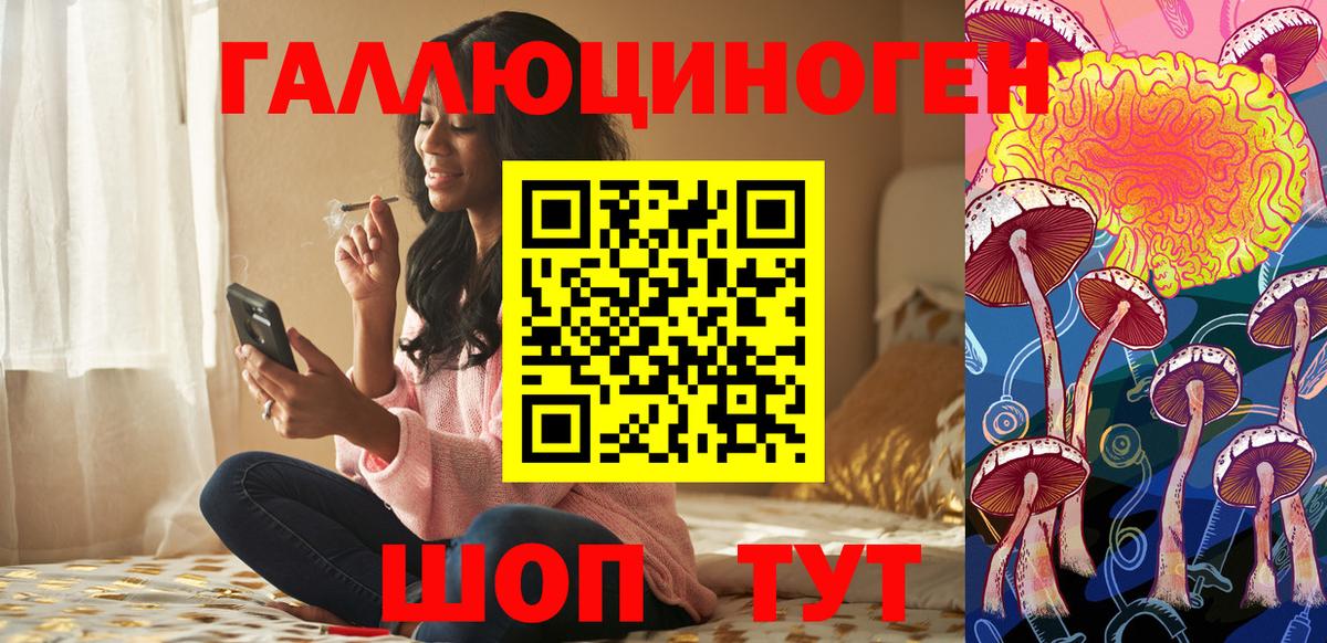 Псилоцибиновые грибы Psilocybe Новочебоксарск