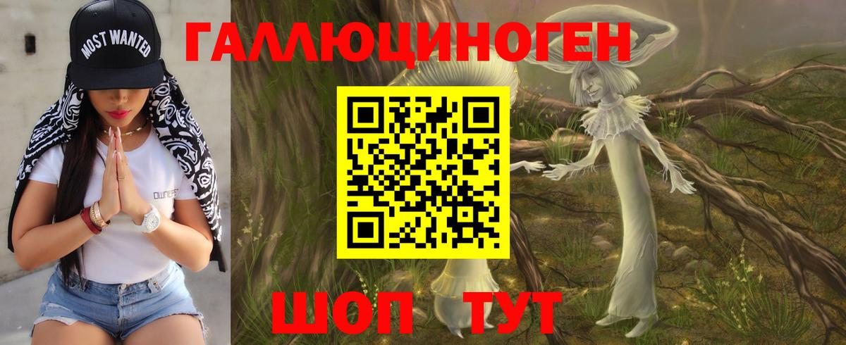 Псилоцибиновые грибы Cubensis  Вход с VPN  Новочебоксарск 
