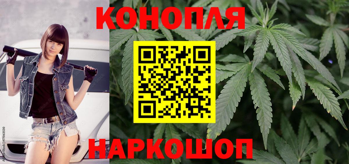Новочебоксарск  Бошки марихуана White Widow  Вход с VPN  Марихуана конопля  Канабис сатива 